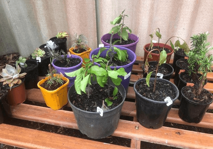 Bread clip in wallet